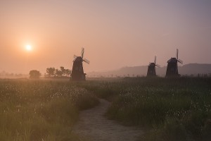 소래습지생태공원