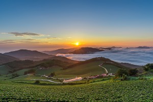 안반데기 배추밭 일출