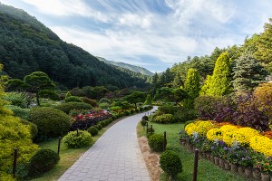 아침고요수목원