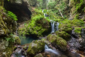 무건리 이끼계곡