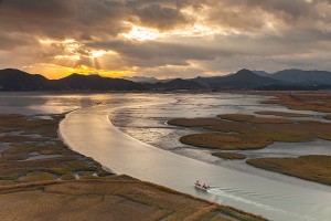 순천만 갈대군락지