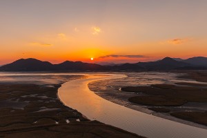 순천만 갈대군락지