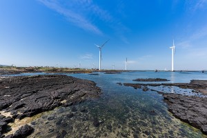 신창리 풍력발전단지