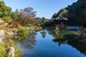 아침고요수목원