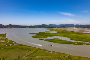 순천만 갈대군락지